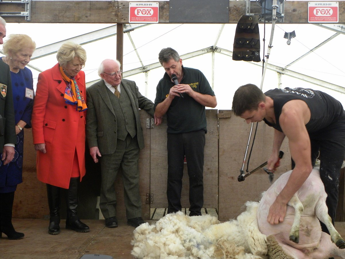President Higgins watching shearer Ivan Scott in action.