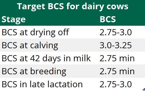 Source: Finbar Mulligan UCD