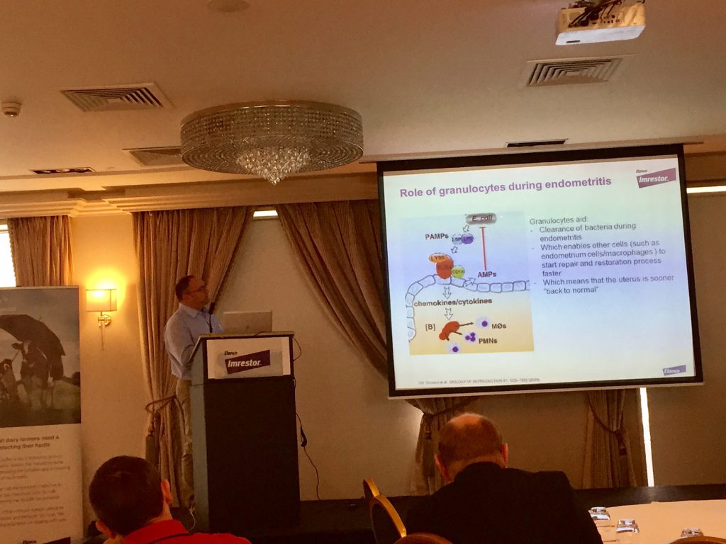 Prof. Werling speaking at the launch