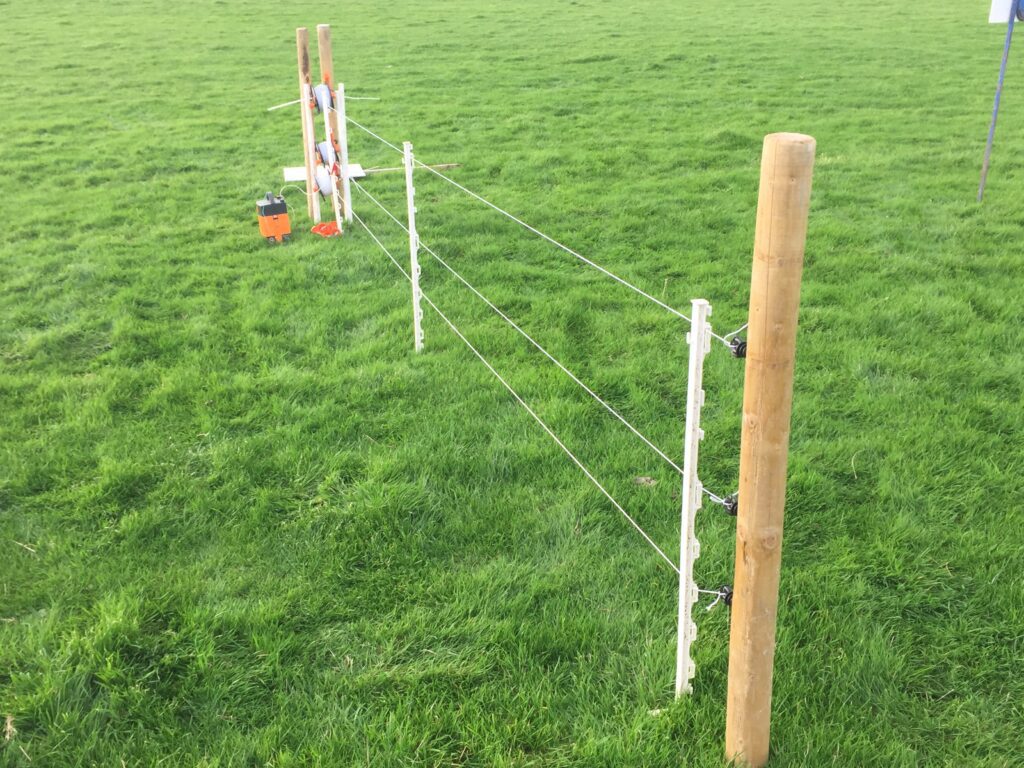 Three strands of poly wire and plastic posts