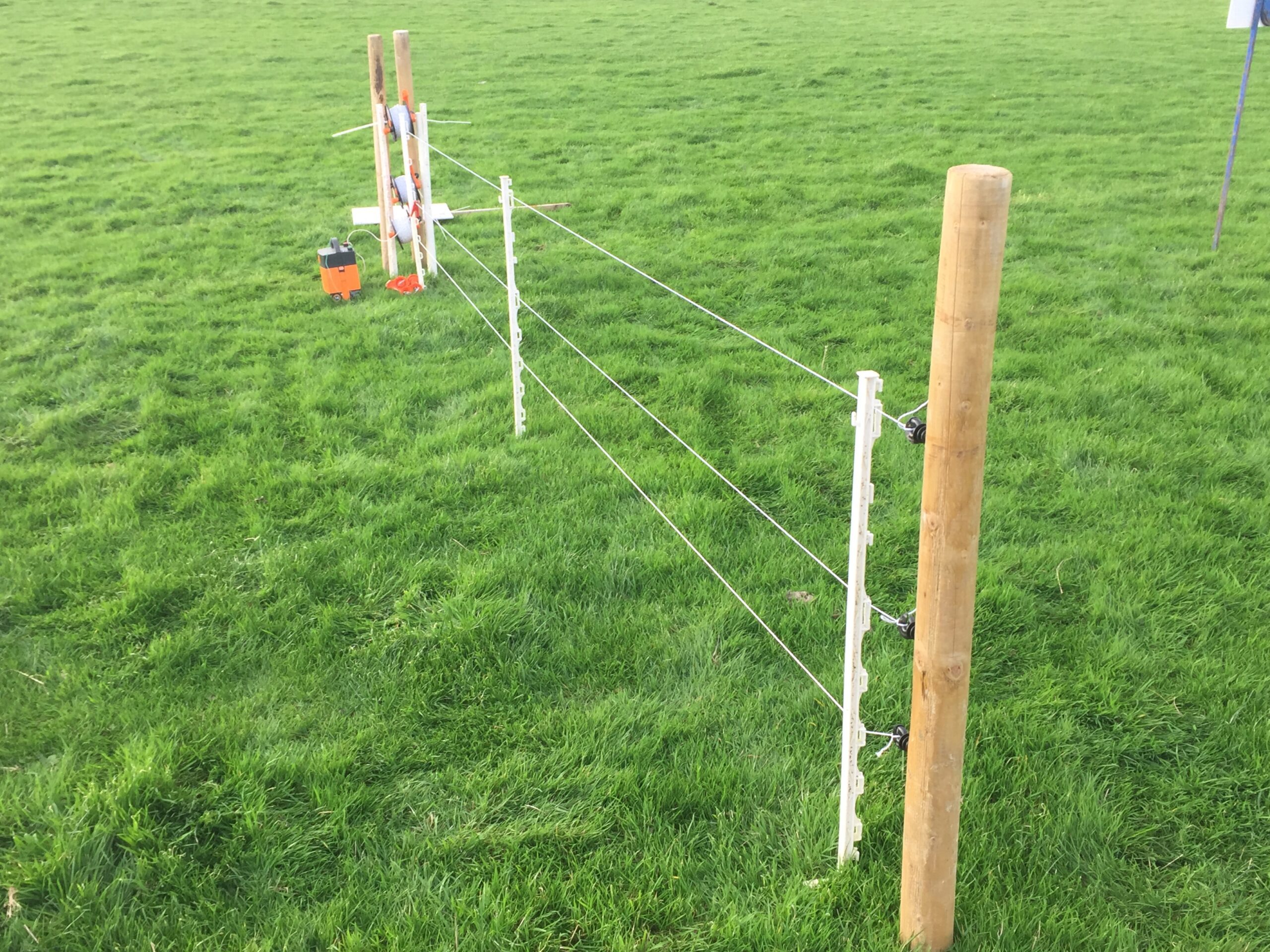 Three strands of poly wire and plastic posts