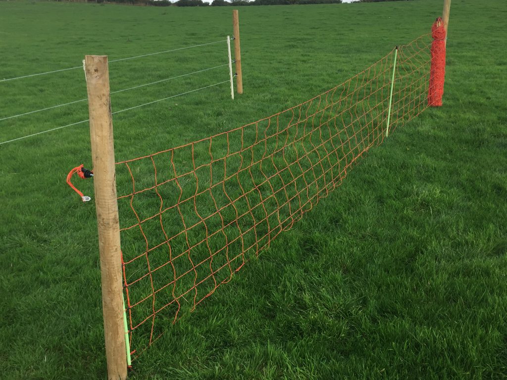 Electrified sheep netting