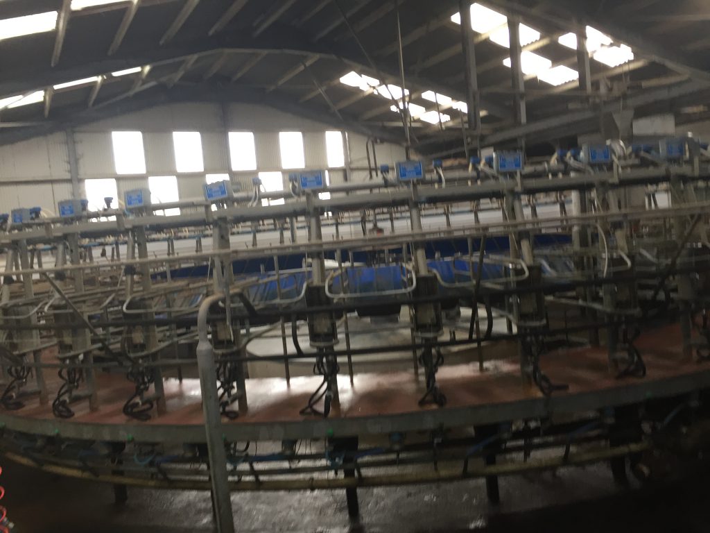 The 50 unit rotary parlour