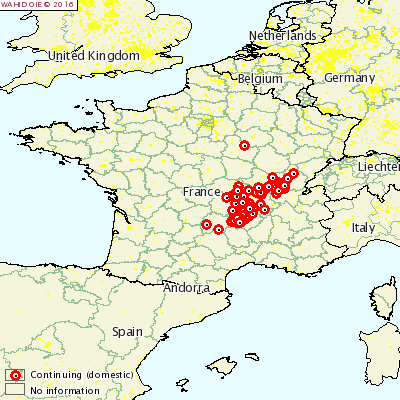 Heatmap of recent Bluetongue outbreaks Source: OIE