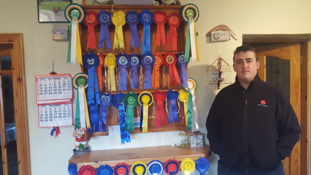 19-year-old sheep farmer Darragh Cunniffe with rosettes his flock won this year