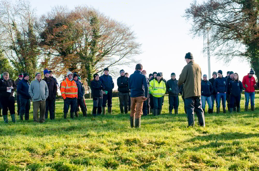 Farmers keen to learn of the benefits of out-wintering cattle on forage crops