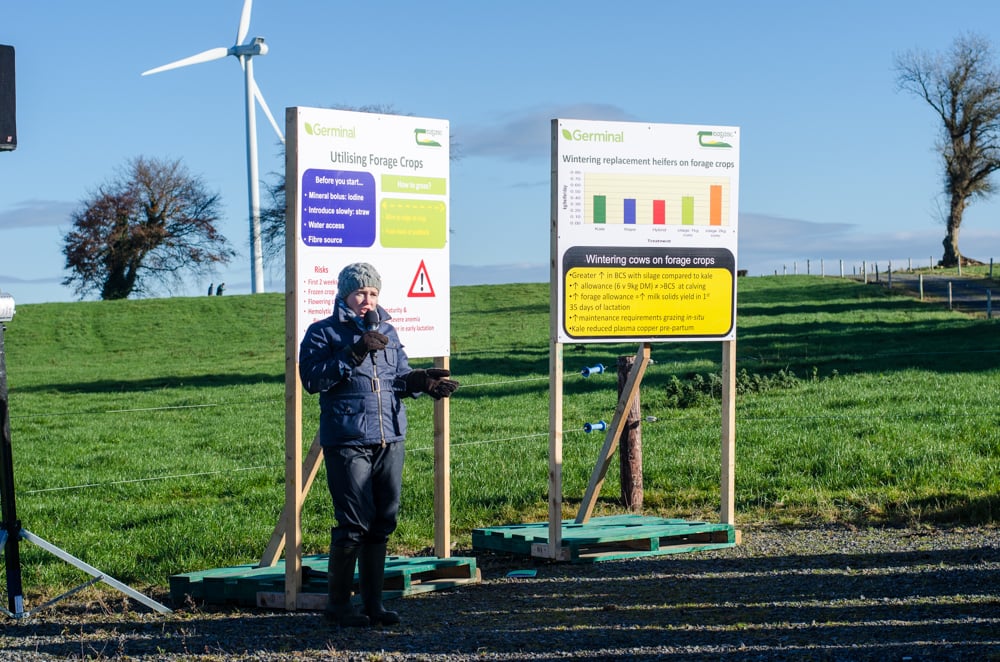 Teagasc’s Dr Emer Kennedy speaking at the farm walk.