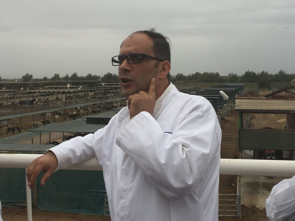 Feedlot Manager Abdelmounaim El Mokhtari discussing the production system