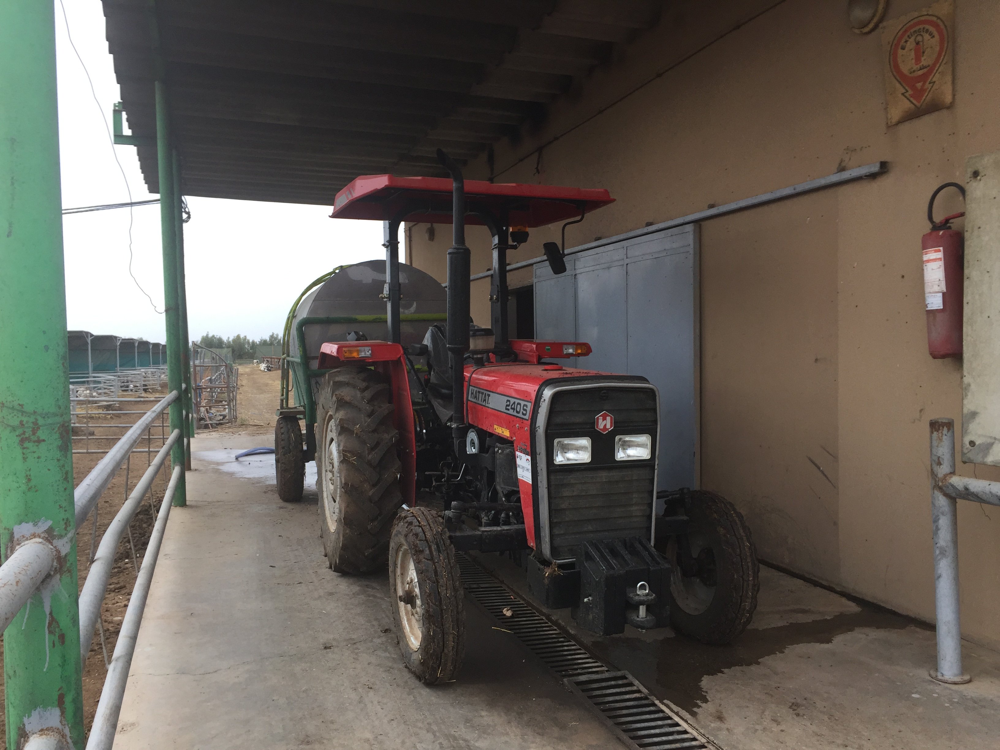 Getting ready to feed the calves on the feedlot