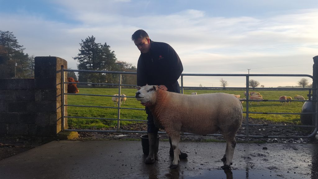 Cunniffe alongside his stock ram which he bought at the Premier Sale in Blessington, Co. Kildare.