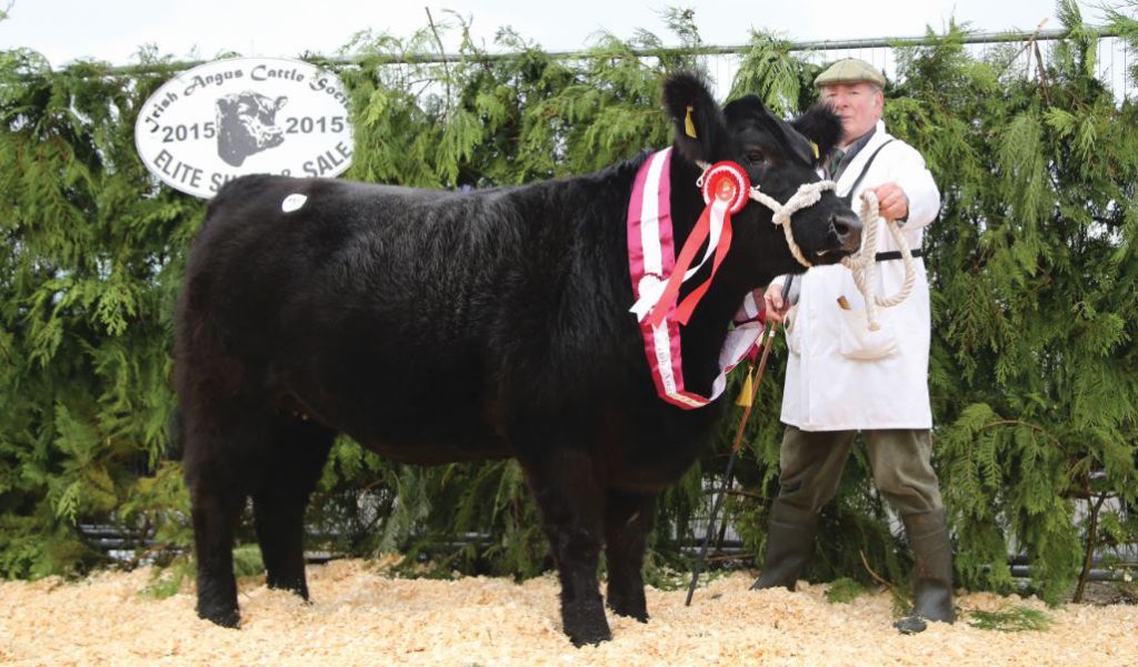 The Elite Female Champion with breeder Michael Flanagan