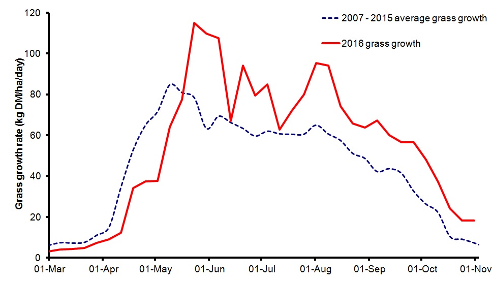 Figure 1: Measured daily grass growth rates for 2016 and average daily grass growth rates 2007 – 2015 from plots at Greenmount and Hillsborough