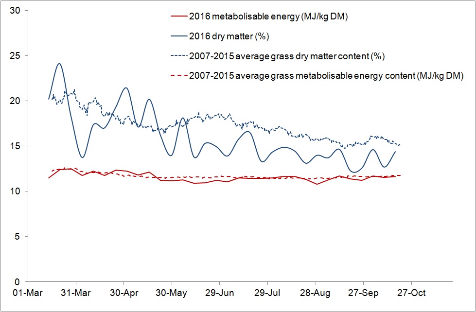 Figure 4: Measured grass dry matter and metabolisable energy content for the 2016 growing season at Greenmount and Hillsborough compared with the 2007 – 2015 long term average