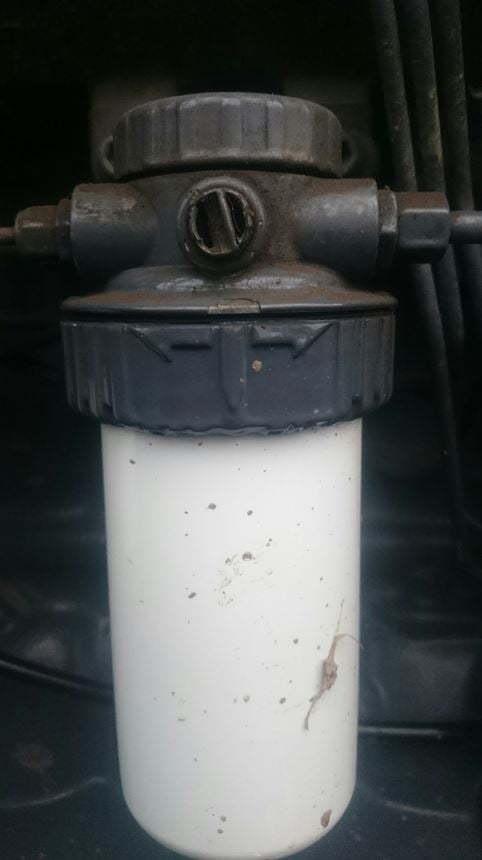 Fuel filter with a bleed screw