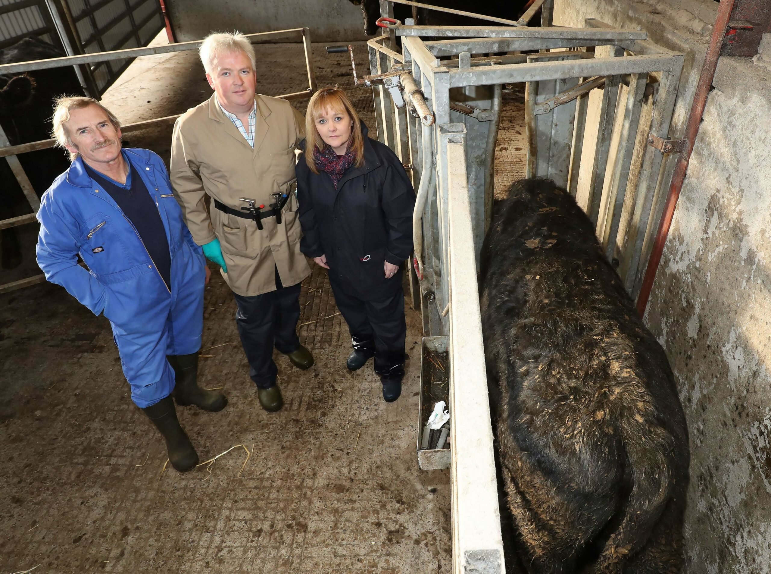 Minister Michelle McIlveen reiterated her commitment to eradicating TB during a farm visit where she observed cattle being tested. (left to right) Farmer Barry Stephens joins DAERA vet John Kennedy and Miss McIlveen.