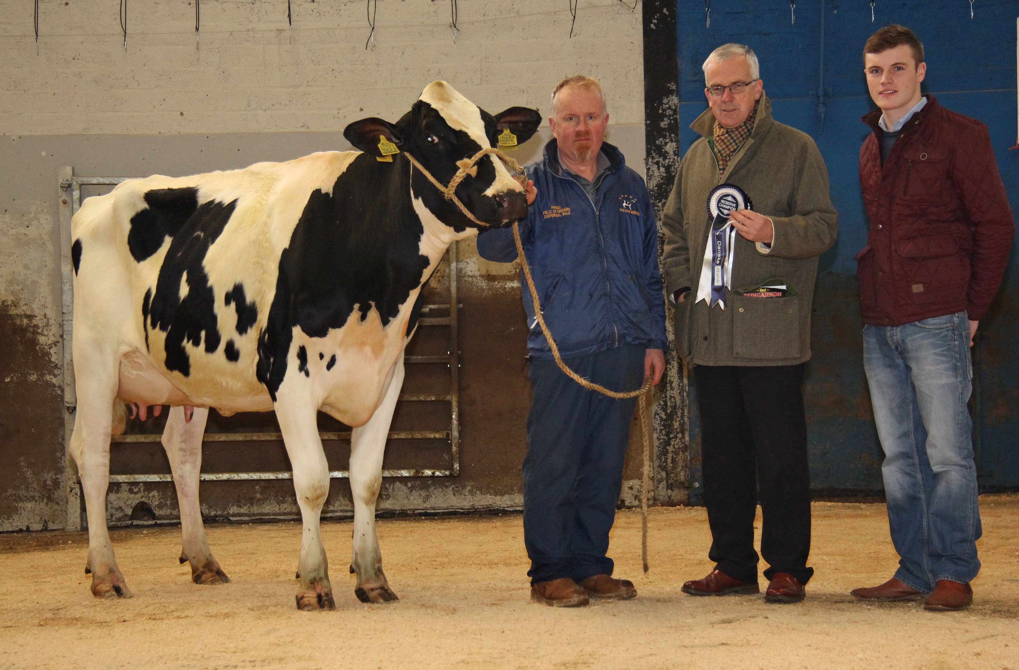 Denis O’Neill exhibited the reserve Holstein champion Hilltara Dorcy Ianina bred by Sam McCormick. Included are John Henning, Danske Bank, and Mark Henry, Judge, Stranocum.