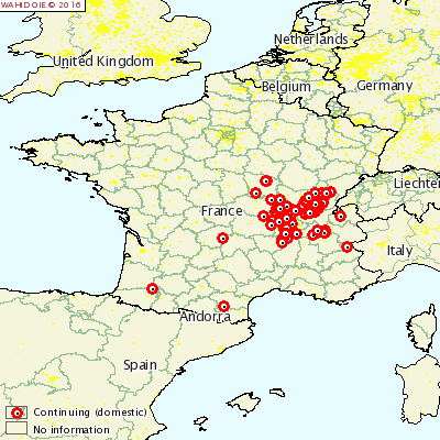 Heat map of recent Bluetongue outbreaks in France Source: OIE