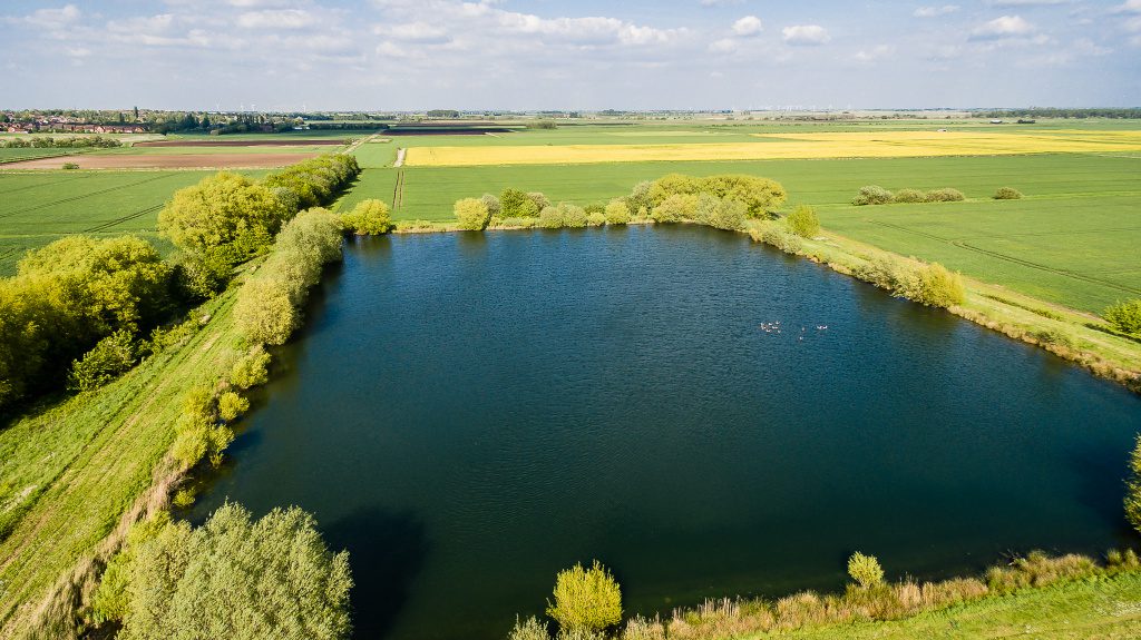 Farcet Farms Source: Brown and Co.