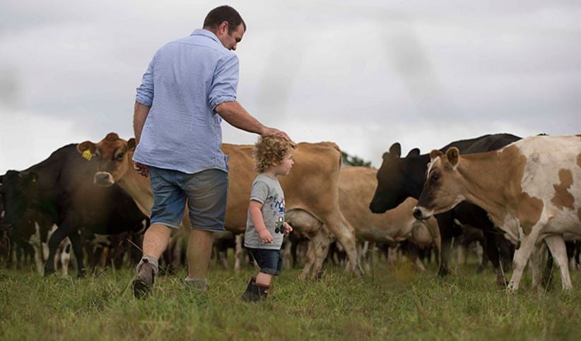 Source: Olin Greenan (twitter)