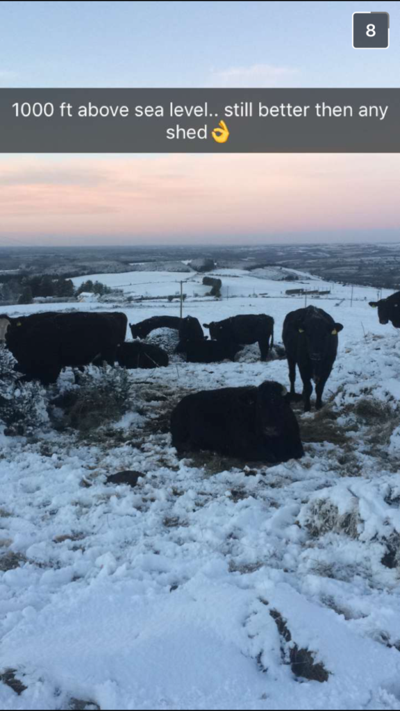 Mount Stuart, Co. Waterford