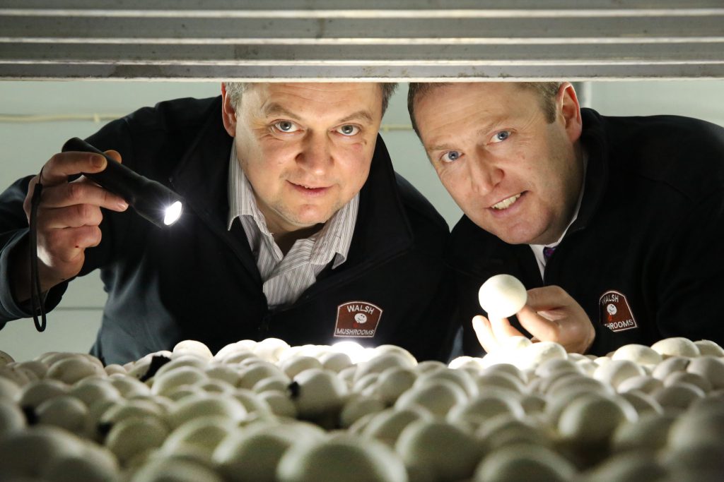 Vitali Shastak, Production Manager Walsh Mushrooms Golden Ltd and Padraic O’Leary, Managing Director, Walsh Mushroom Group.