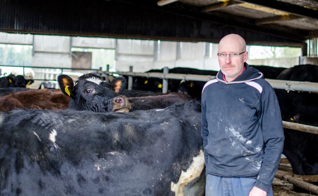 Jarlath Hughes and some of his crossbred cows