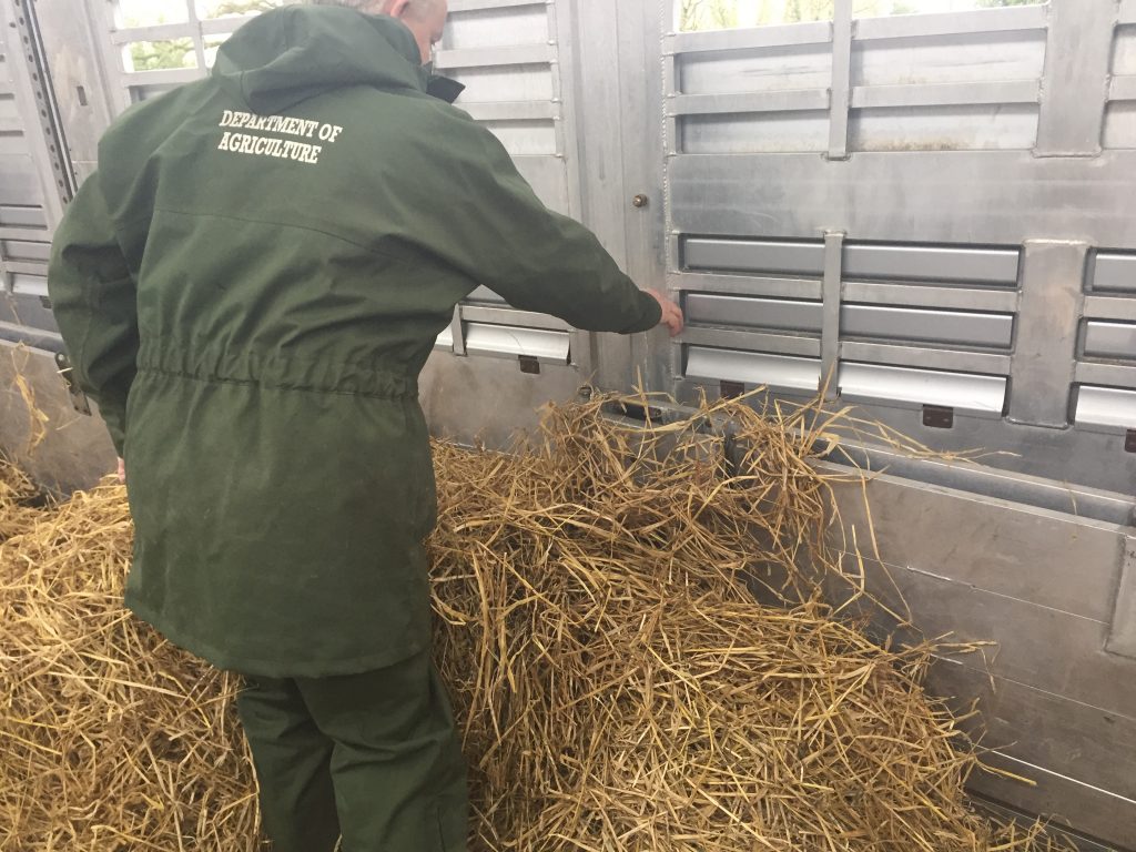 The Department vet completing his checks