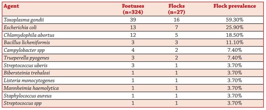 Source: Teagasc National Sheep Conference proceedings