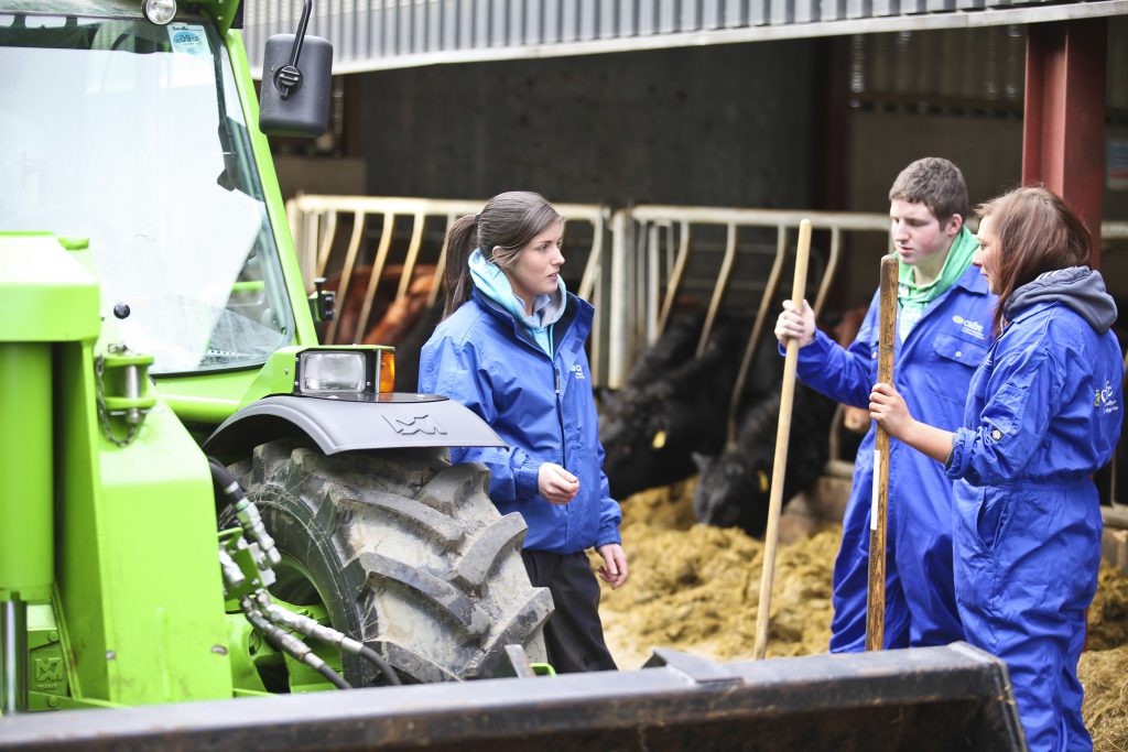 Students pictured on the college’s farm