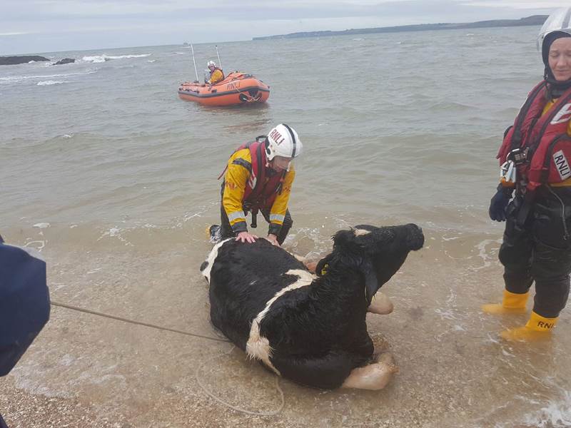 Source: RNLI