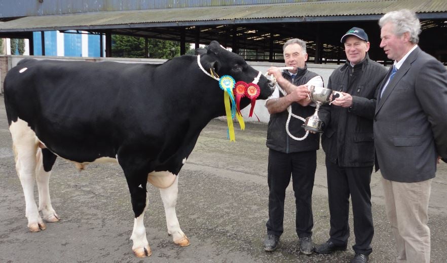 Evergrange Planet exhibited by Mervyn Eager with Charles Gallagher, IHFA, and judge Garry Hurley