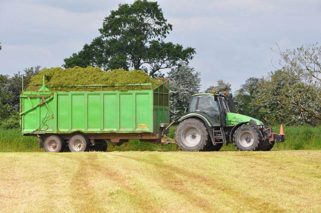 Image source: Shane Casey