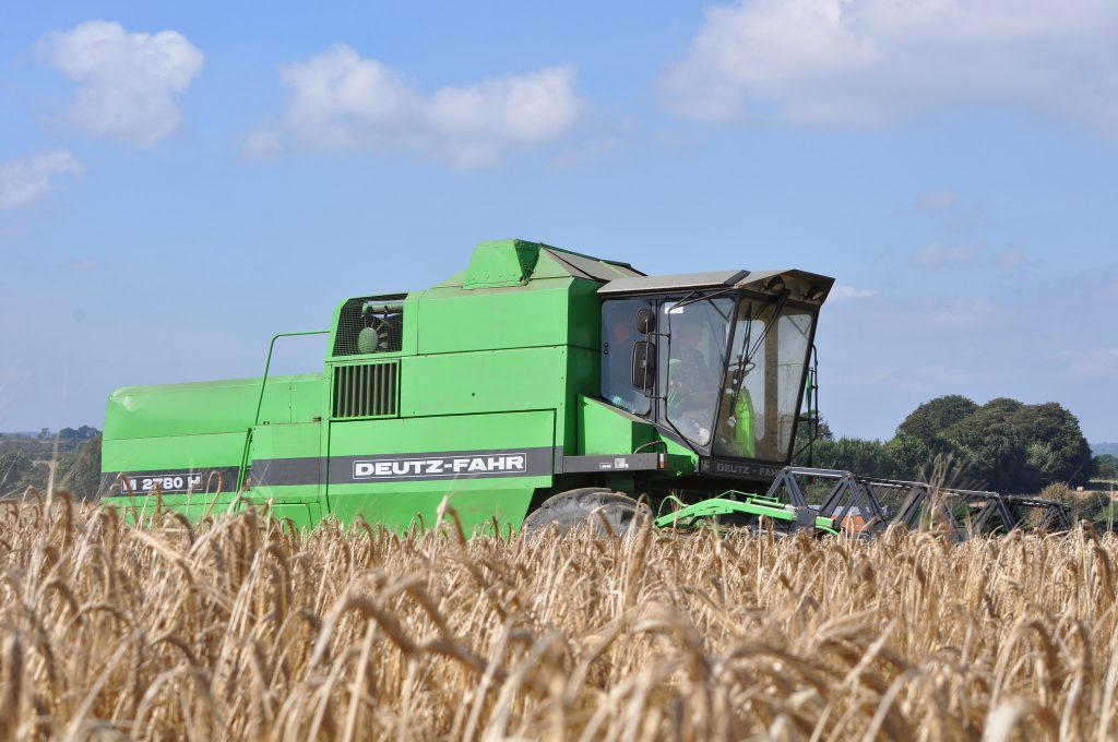 Image source: Shane Casey