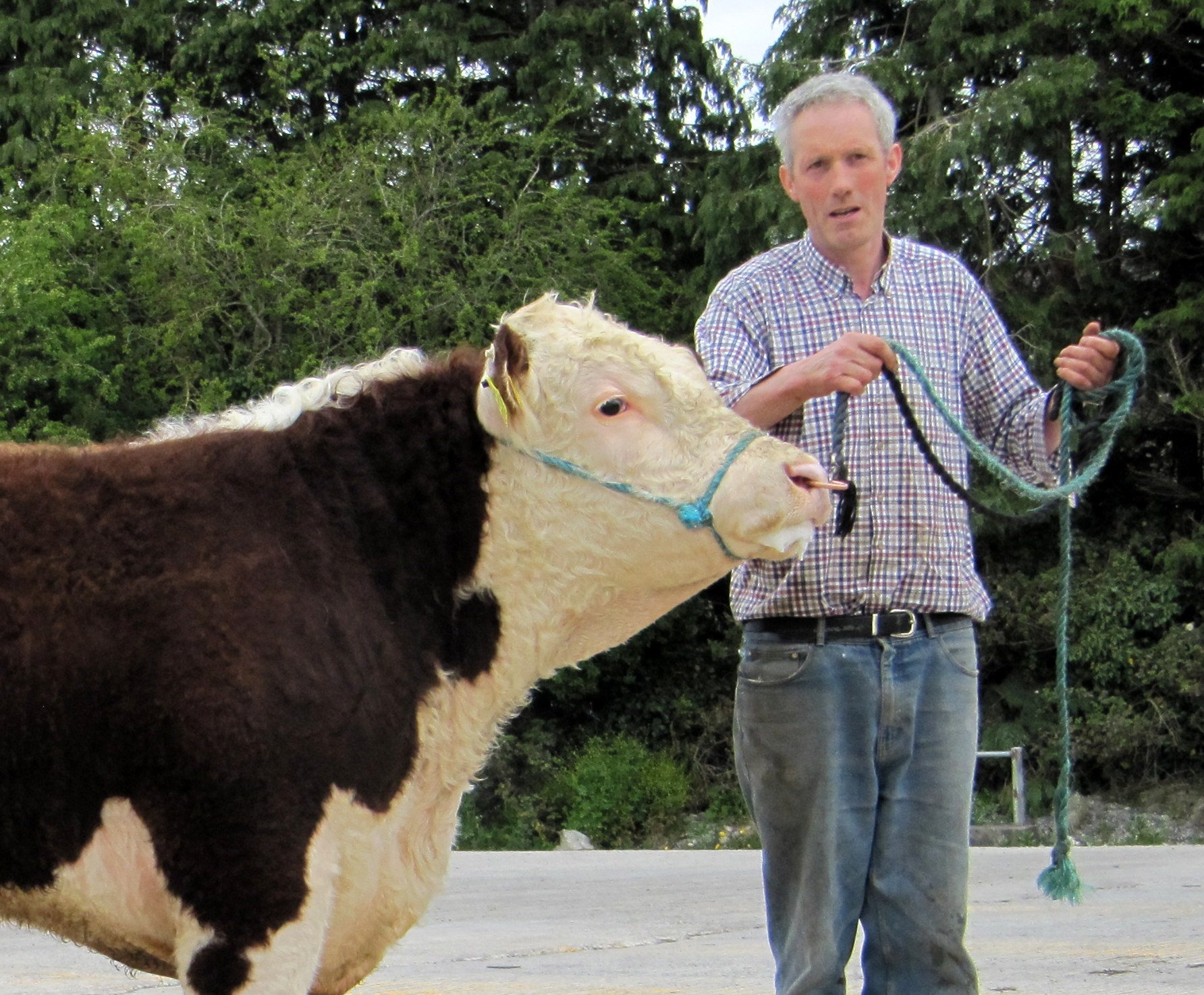 Furaleigh Kolbe 1049 sold at €3,200, with owner Ted O’Sullivan