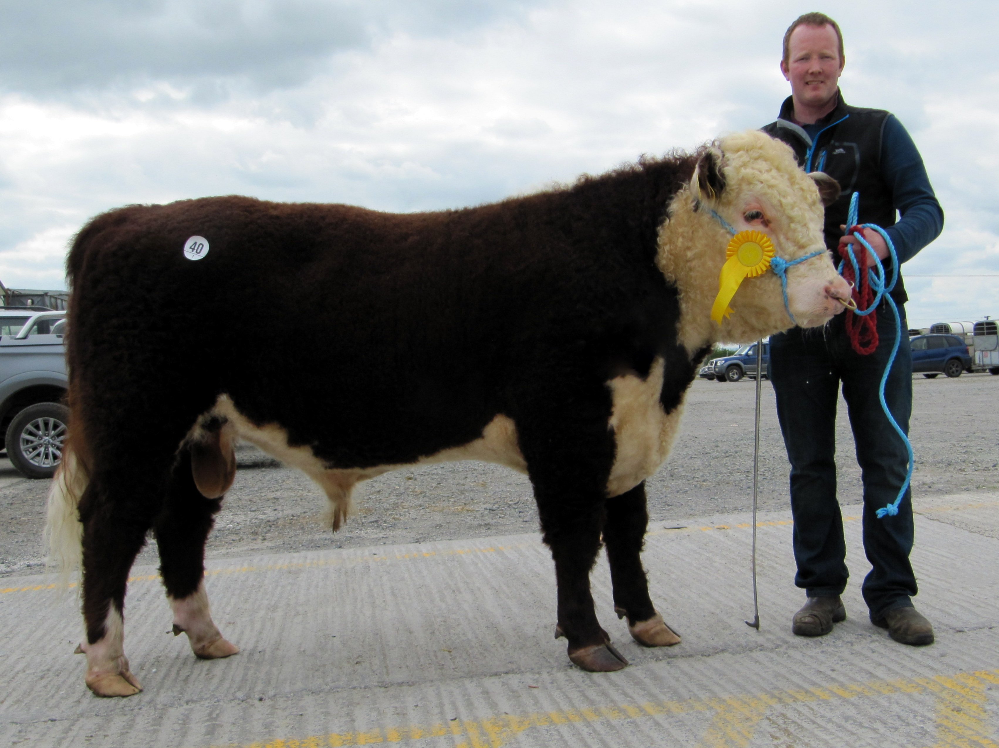Clondrina 1171st sold at €3,200, with owner Declan Donnelly