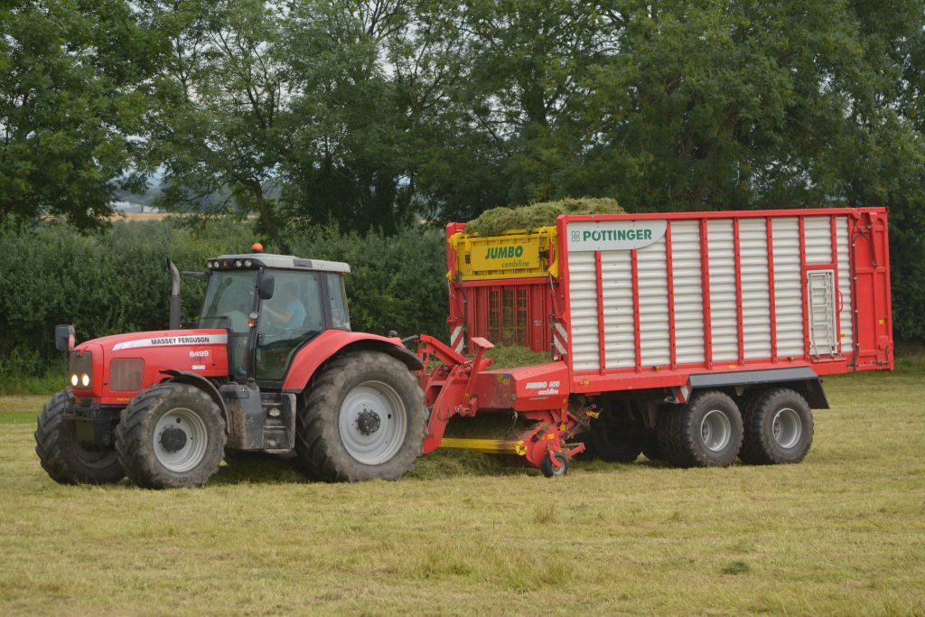 Image source: Shane Casey