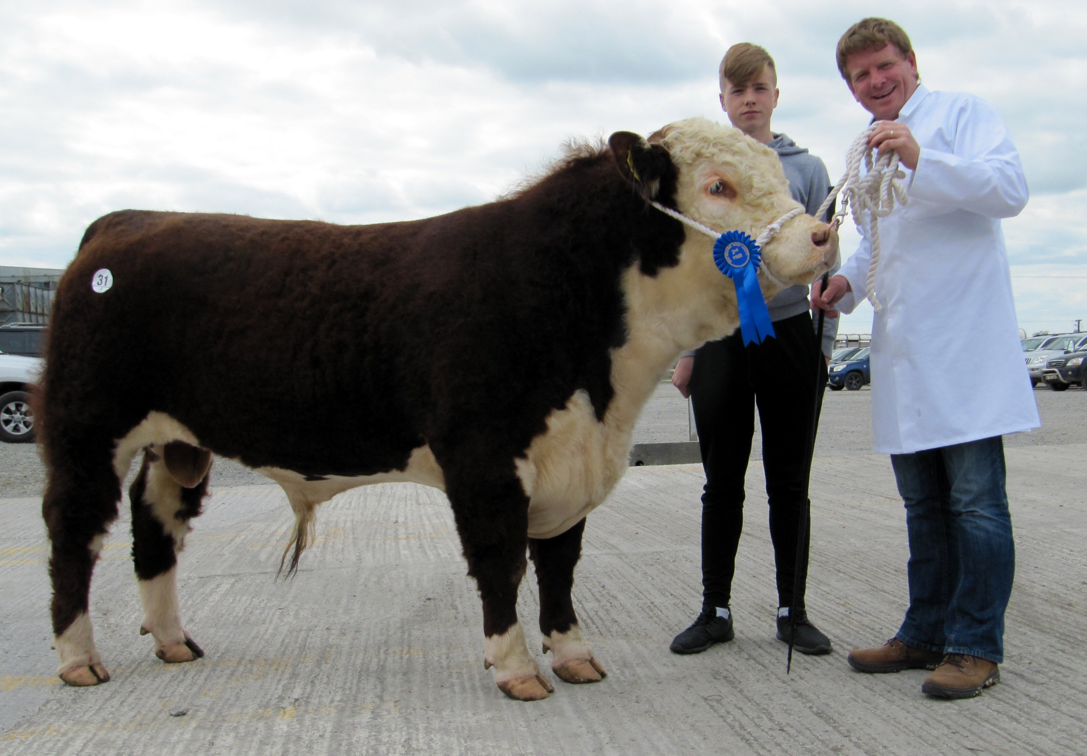 Hazel Grove Braxton, which sold for €3,000, with owners Keith and Dermot Whelton