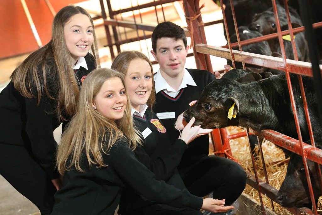 L-R: Kellie Ward, Ella Smyth, Hannah Keogh, David Corry