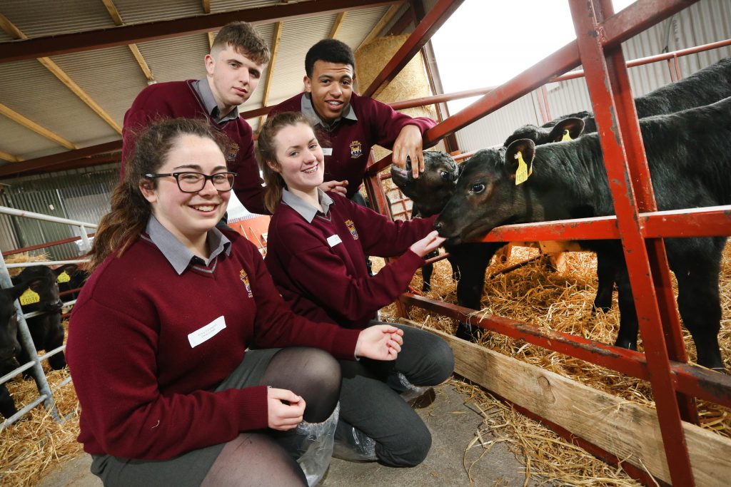 L-R: Pierce Buckley, Noah Butler, Roisin Scully, Emily O Callaghan