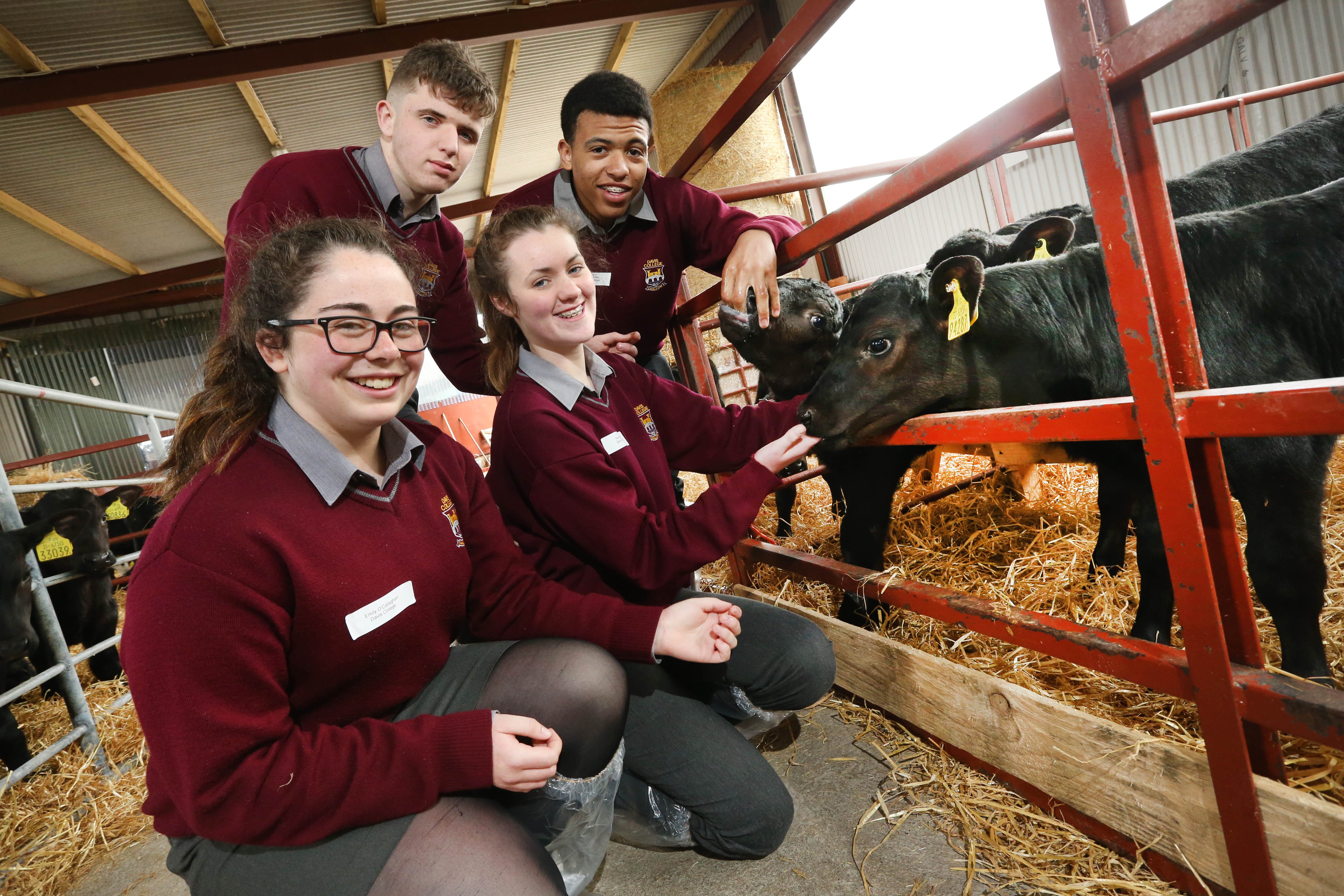 L-R: Pierce Buckley, Noah Butler, Roisin Scully, Emily O Callaghan