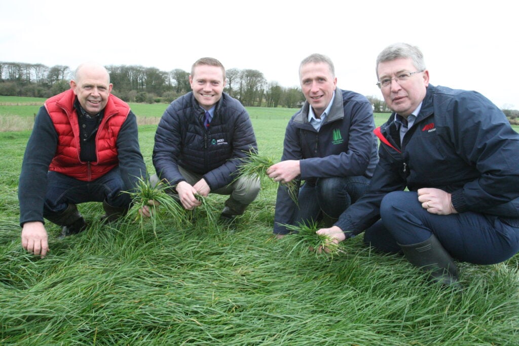 Photo l-r: John Bell, host farmer; William Minchin, MSD; Bernard Ging, Irish Grassland Association President; and Francis Mann, Mullinahone Co-op