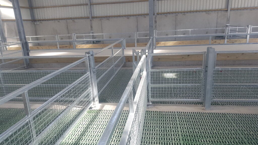 John installed a walkway across the double slatted tank in the middle of the shed