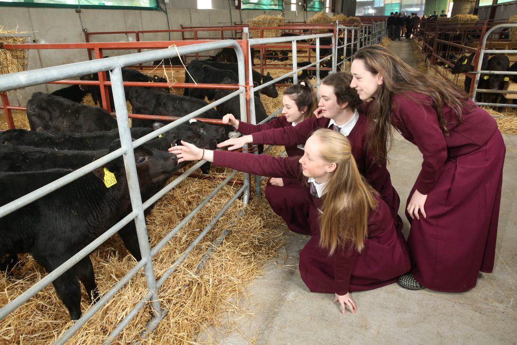 L-R: Aishling O’Neill, Aoibhinn Leahy, Jane McNamara and Susan O’Neill