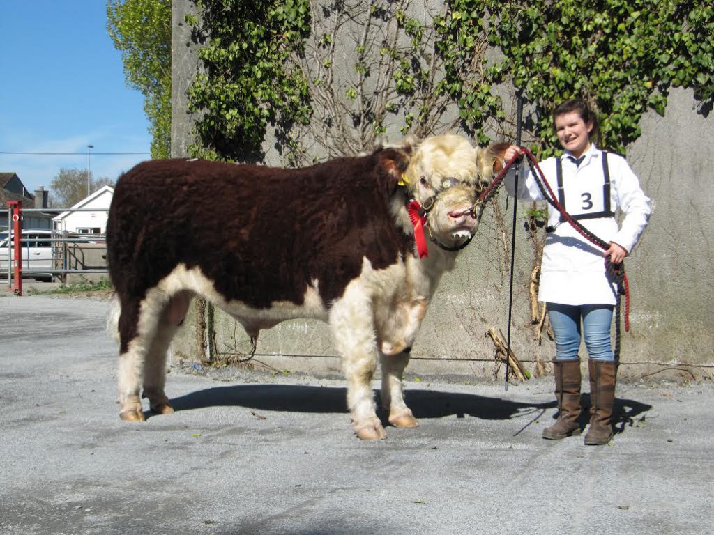 The son of Church Preen Galileo made €3,650
