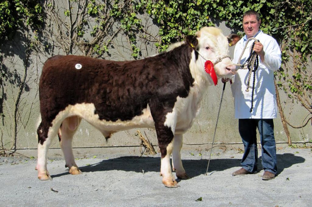 Glaslough Red Rum made €3,050