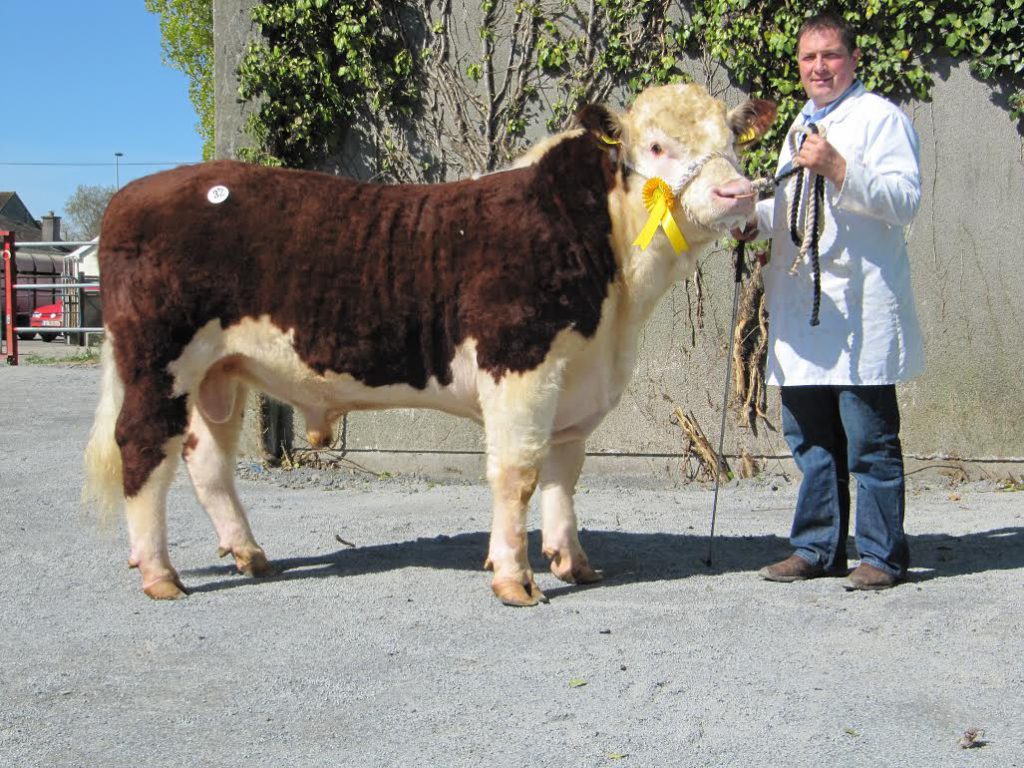 Heatrick also sold Glaslough Ruler for €3,500