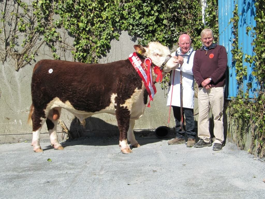 Kye Harry 734 sold for €3,600