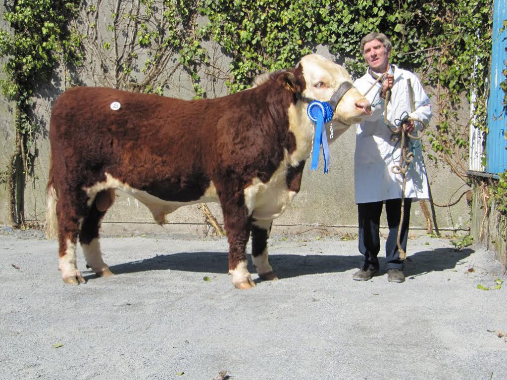 F.H. Star sold for €3,400