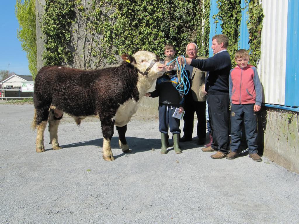 Rory Farrell’s Ballinveney Superstar sold for €3,700 – the top price on the day