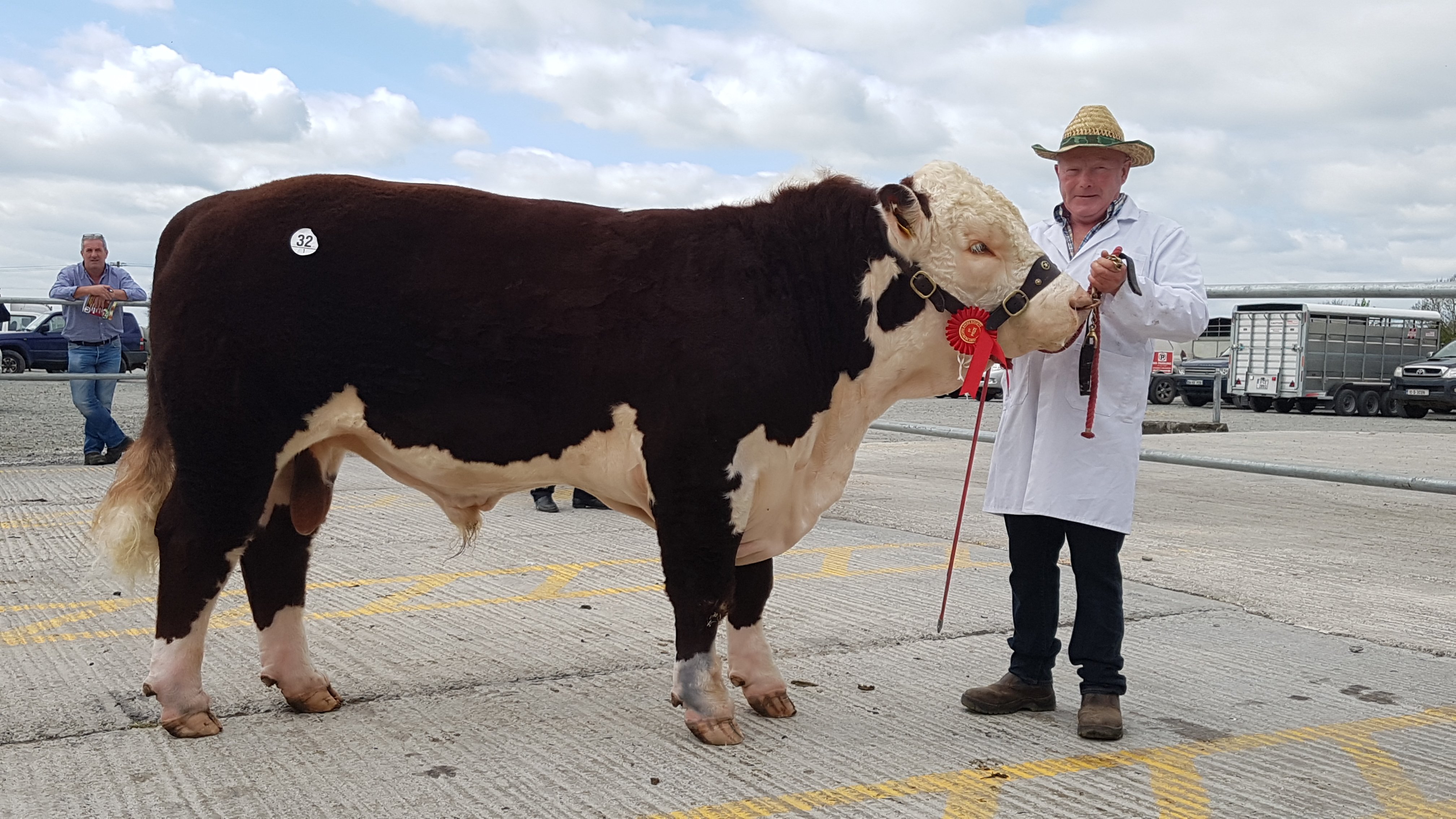 Padraigh McGrath with Kye Gererd 727, which sold for €3,000 (five-star Terminal and four-star Replacement)